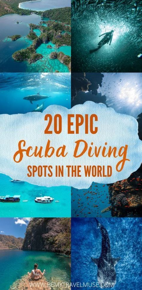 An epic scuba diving bucket list, with 20 best places to dive around the world! Whether you are after the big fish, colorful reefs, or shipwrecks, this list got you covered! #ScubaDiving #Bucketlist Best Scuba Diving Destinations, Best Diving Destinations, Best Snorkeling In The World, Maldives Scuba Diving, Maldives Diving, Scuba Diving Bucket List, Fish Colorful, Travel Maldives, Scuba Diving Photography