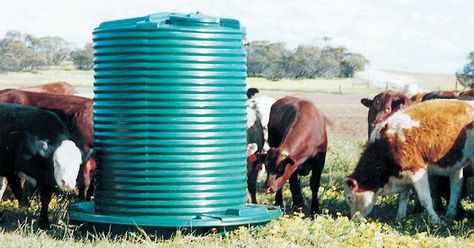 Poly Stock Tank, Livestock Water Trough, Pastured Poultry, Water Trough, Storage Tanks, Stock Tank, Electric Fence, Water Transfer, Water Systems