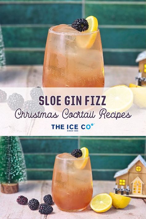 sloe gin fizz cocktail in a short glass with a fresh blackberry and slice of lemon Slow Gin Fizz Recipes, Christmas Cocktails Gin, Sloe Gin Fizz Recipe, Slow Gin Fizz, Sloe Gin Fizz, Gin Fizz Recipe, Gin And Soda, Gin Lemon, Sloe Gin