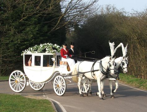 White and black horse drawn carriages for all occasions Horse And Carriage Wedding, Prom Car, Baby Blue Weddings, Horse Drawn Carriage, Wedding Carriage, Horse Wedding, Wedding Dr, Royal Aesthetic, Last Ride