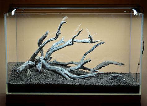 Fallen Tree Branch 60cm (jungle mode) | The Planted Tank Forum Tanaman Air, Fish Aquarium Decorations, Aquascape Design, Aquarium Driftwood, Aquarium Landscape, Fallen Tree, Nature Aquarium, Aquascape Aquarium, Driftwood Decor