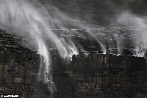 Reverse waterfalls appear at Royal National Park, south of Sydney, amid wild weather | Daily Mail Online Reverse Waterfall, Wind Gust, Wild Weather, Farm Heroes, Natural Phenomena, Over The Top, Daily Mail, The Wild, Antonio Mora Artwork