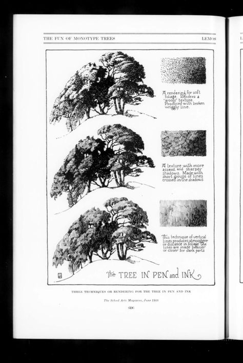 The School Arts Magazine 1928-06: Vol 27 Iss 10 : Free Download, Borrow, and Streaming : Internet Archive Pen Skills, Ink Drawing Techniques, Botanical Drawing, Arts Magazine, Cross Hatching, Tinta China, Nature Drawing, Art Instructions, Manga Pages