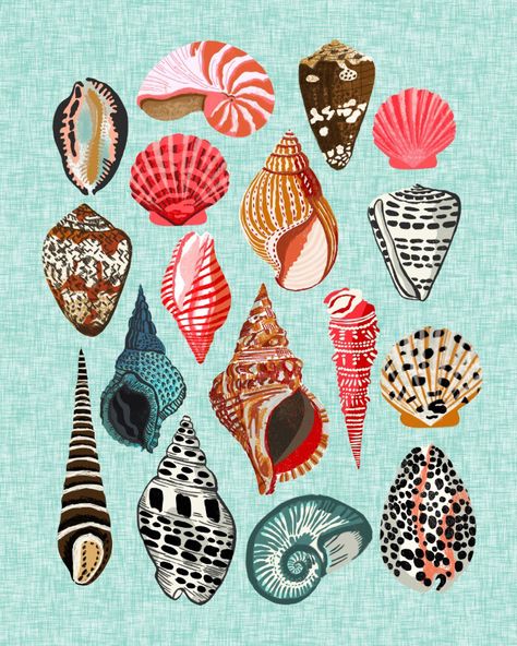 Shell Illustration, Andrea Lauren, Posca Art, Arte Sketchbook, Illustration Inspiration, Art Paint, 그림 그리기, Wall Collage, Graphic Illustration