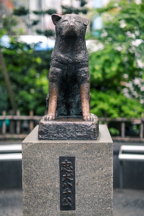 https://flic.kr/p/22fsycD | Hachiko dog statue | Tokyo 2017 Hachiko Dog, Hachiko A Dog's Story, Samurai Dog, Fox Statue Japan, Hachiko Statue, Komainu Statue, Memorial Statues, Go To Japan, Toddler Arts And Crafts