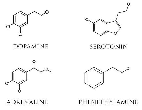 Serotonin Tattoo, Chemistry Tattoo, Science Tattoo, Science Tattoos, Dragons Tattoo, Molecule Tattoo, Muster Tattoos, Chemical Structure, Subtle Tattoos