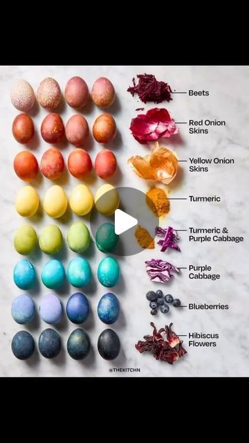 Kyle Richardson on Instagram: "Toxin free Easter Egg Dye ideas. #SayNoToPoison" Egg Dye Ideas, Easter Egg Dye Ideas, Egg Dye, Easter Egg Dye, Dye Ideas, Toxin Free, March 20, Easter Egg, Easter Eggs