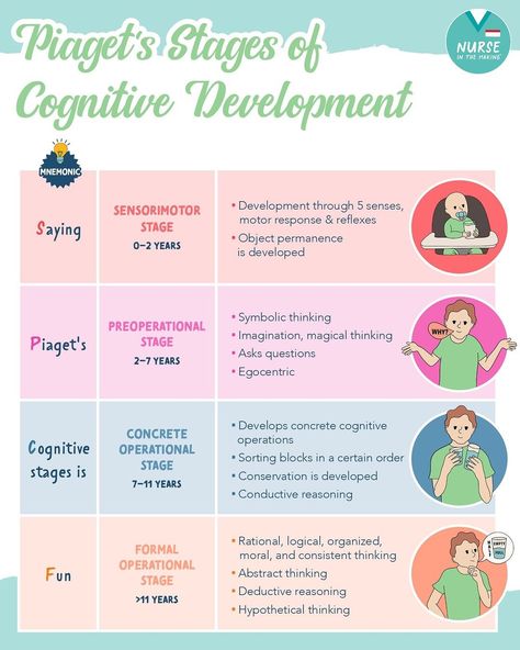 Kristine Tuttle | Piaget’s Stages of Cognitive Development 💡Mnemonic: Saying Piaget's Cognitive stages is Fun 🧠Sensorimotor Stage (0 - 2… | Instagram Sensorimotor Stage Jean Piaget, Eriksons Stages Of Development Nursing, Piaget's Theory Of Cognitive Development, Freud Stages Of Development, Erickson Stages Of Development, Piaget Stages Of Development, Eriksons Stages Of Development, Erikson Stages, Lifespan Development