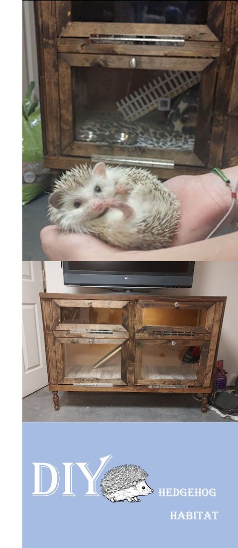 Hedgehog Enclosure, Diy Hedgehog, Hedgehog Habitat, Floor Restoration, A Hedgehog, Wood Scraps, Old Dressers, Ball Pit, Bearded Dragon