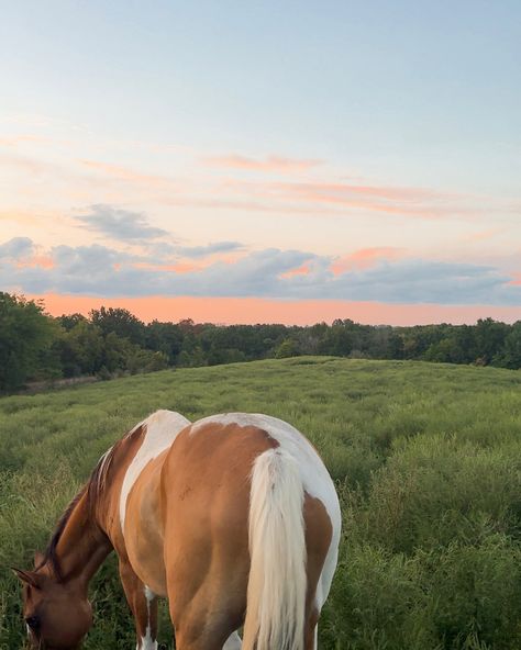 Southern Summer Aesthetic, American Summer Aesthetic, 2025 Rebrand, Boat Lifestyle, Shes Like Texas, Summer Cowgirl, Cowgirl Summer, Cowgirl Vibes, Aesthetic Summer Vibes