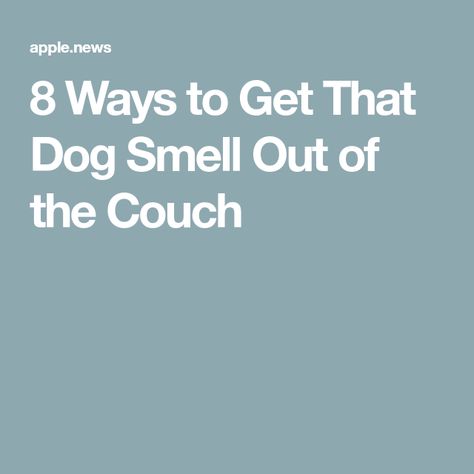 Diy Couch Deodorizer Spray, How To Get Rid Of Dog Smell On Couch, Smelly Couch Remedy, Pet Smell Out Of Couch, Clean Couch Fabric Smell, Couch Stains, Pet Urine Smell, Dog Odor Eliminator, Stinky Dog