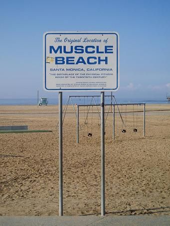 Muscle Beach California, Cali Palm Trees, Muscle Building Women, Beach Road Trip, Venice Beach California, Muscle Beach, Cali Life, Driftwood Beach, Beach Sign