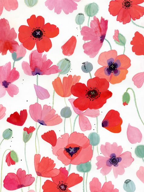 Red Poppy Wallpaper, Poppy Flower Pattern, Inga Buive, Poppy Flower Wallpaper, Poppy Flower Illustration, Poppy Aesthetic, Poppy Background, Poppy Pictures, Poppies Illustration