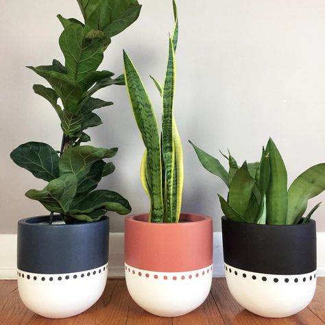 Plant Pot Design, Diy Pottery Painting, Flower Pot Art, Plant Pot Diy, نباتات منزلية, Painted Pots Diy, Flower Pot Design, Painted Plant Pots, Painted Terra Cotta Pots