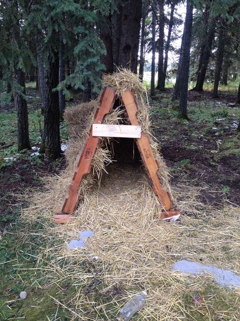 Diy Dog Run, Pallet Dog House, Pet Spa, Dog Kennels, Dog Ramp, Farm Stuff, Logo Shapes, Backyard Diy, Outdoor Stairs