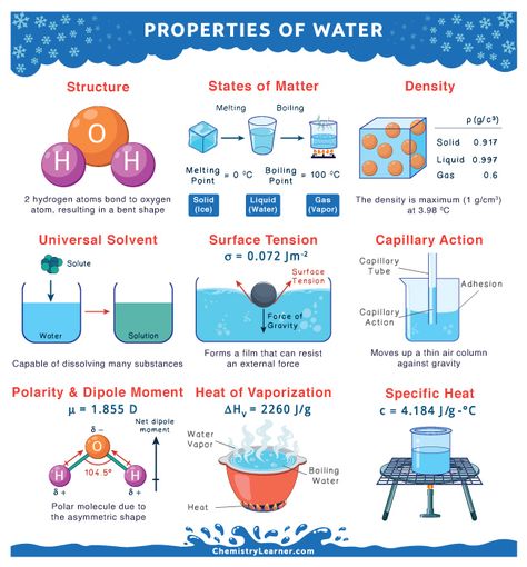 Properties of Water Polarity Of Molecules, Properties Of Water Notes, Cohesion And Adhesion Of Water, Project Of Science, Bio Molecules, Water Properties, Highschool Teacher, Properties Of Water, Chemistry Activities