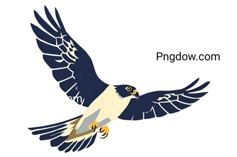 Cartoon falcon bird in flight, transparent background Falcon Bird, White Falcon, Falcon Logo, Bird In Flight, Cartoon Birds, Peregrine Falcon, Silhouette Png, Clear Blue Sky, Png Transparent Background