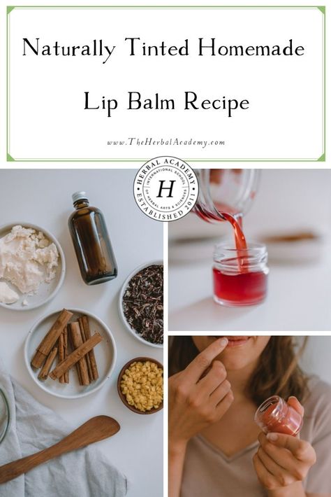 Naturally Tinted Homemade Lip Balm Recipe | Herbal Academy | This naturally tinted homemade lip balm recipe not only adds a beautiful color to your face, but also smells like a cinnamon treat! Diy Lip Plumper, Homemade Lip Balm Recipe, Lip Balm Recipe, Natural Lip Plumper, Diy Lip Balm Recipes, Lip Plumping Balm, Lollipop Recipe, Herbal Academy, Lip Salve