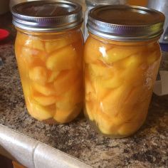 Pickled Cantaloupe Manwhich Recipes, Canning Garden, Apple Cider Vinegar Water, Szechuan Recipes, Pickled Fruit, Mulberry Recipes, Cantaloupe Recipes, Spagetti Recipe, Canning Jam Recipes