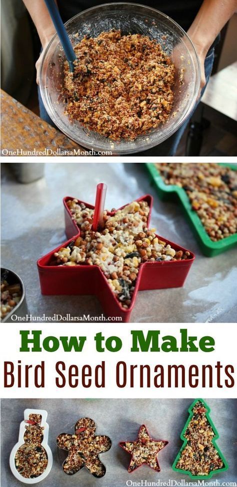 Easy Christmas Crafts for Kids, Kids Christmas Crafts, How to make Bird Seed Ornaments, Bird Crafts, Bird Seed Crafts, Christmas Ornament Ideas Homemade Bird Seed, Bird Seed Crafts, Bird Seed Ornaments Recipe, Seed Ornaments, Toddler Ornaments, Crafts By Month, Garden Crafts For Kids, Bird Seed Ornaments, Bird Treats