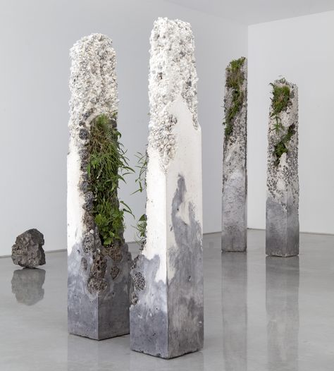 Australian Plants Grow from the Crevices of Jamie North’s Living Sculptures | Colossal Australian Plants, Concrete Sculpture, Concrete Projects, Concrete Art, Australian Native, Art Installation, Plant Art, Shop Ideas, Sculpture Installation