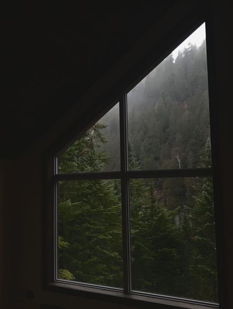 Dark Naturalism, Dark Forest Aesthetic, Rainy Day Aesthetic, Dark Green Aesthetic, Dark Nature Aesthetic, Dark Paradise, Window View, Forest House, Night Aesthetic