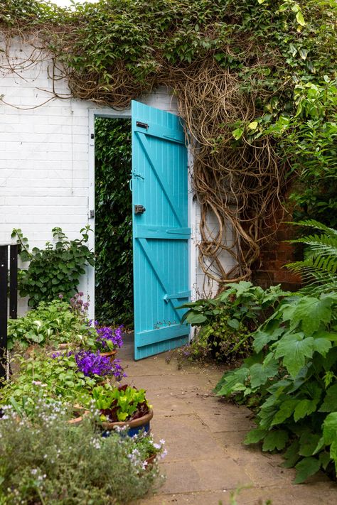 Garden gates: 11 garden gate ideas and tips for a stylish exterior | Real Homes Wood Garden Gates Ideas, Tall Garden Gates Wooden, Garden Gates And Fences Entrance, Painted Garden Gate, Painted Gate, Regency Townhouse, Garden Gate Ideas, Exterior Wood Paint, Victorian Maid