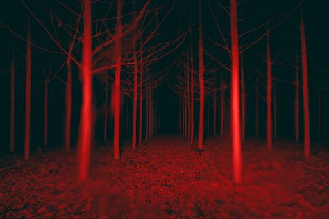 breezeh on Twitter: "Photos I took in a small town… " Unknown Aesthetic, Serial Experiments Lain, Red Forest, Fear Of The Unknown, 다크 판타지, Boba Fett, The Unknown, Red Aesthetic, Dark Forest