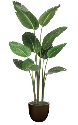 Banana Leaf Tree, Plants In Baskets, Paradise Plant, Artificial Plants Indoor, Artificial Plant Wall, Hanging Plants Indoor, Artificial Plants Outdoor, Floor Plants, Topiary Trees