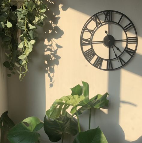 Aesthetic Wall Clocks, Wall Clock Aesthetic, Aesthetic Wall Clock, Clock Ideas, Plant Aesthetic, Sunset Aesthetic, Aesthetic Wall, Wooden Clock, Monstera Leaf