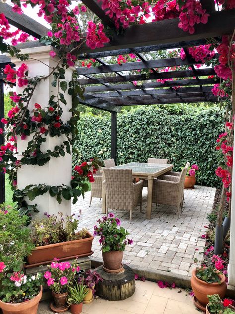 Mexican Backyard, Barbie Pool, Mexican Garden, Hacienda Style Homes, Spanish Garden, Beautiful Home Gardens, نباتات منزلية, Pergola Design, Hacienda Style