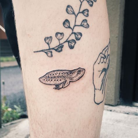 Tadpole Tattoo, Silly Little Tattoos, Granola Tattoo, Cliche Tattoo, Caterpillar Tattoo, Small Tattoo Ideas For Men, Cosmo School, Print Making Designs, Japanese Tattoo Words