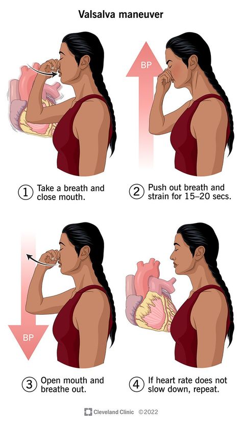 Valsalva Maneuvers: What They Are and How to Do Them Ventral Vagal Activation, Uvalde Victims, Vettaiyadu Vilayadu Kamal, Fast Heart Rate, Valsalva Maneuver, Middle Ear, Normal Heart, Heart Palpitations, Heart Pump