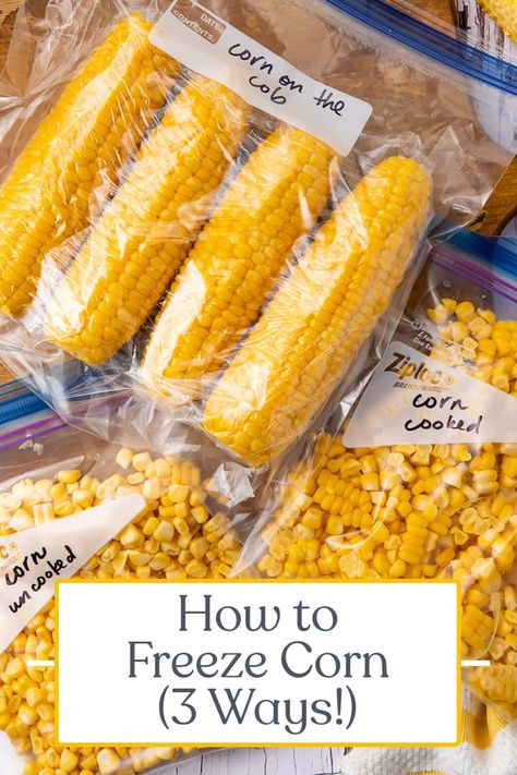 Learning how to freeze corn (both on the cob and kernels) is an amazing way to save fresh, sweet corn for use all year round! In this guide, we've included methods for freezing corn on the cob, uncooked kernels, and cooked kernels, for pretty much any situation. Blanching Corn, Frozen Sweet Corn Recipe, Freezer Corn Recipe, Freezing Sweet Corn, Freezing Fresh Corn, Freezing Food Guide, Freezing Corn, Sweet Corn Recipes, Freezing Vegetables