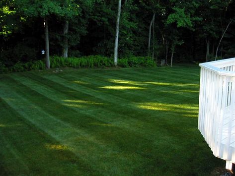 Lawn Striping, Lawn Roller, To Build A Home, Green Industry, Diy Lawn, Build A Home, Lawn Games, Yard Design, Landscaping Design