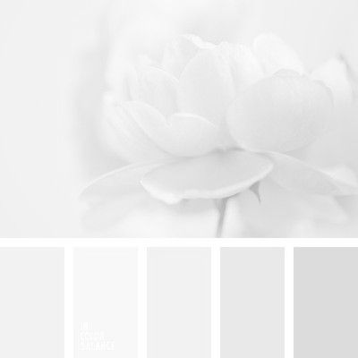 Pastel White Color Palette, White Colour Palette Shades, Aesthetic White Palette, White Flower Color Palette, Off White Pallete Color Palettes, Pearly White Color Palette, White Shades Palette, White Pallete Color, Off White Colour Palette