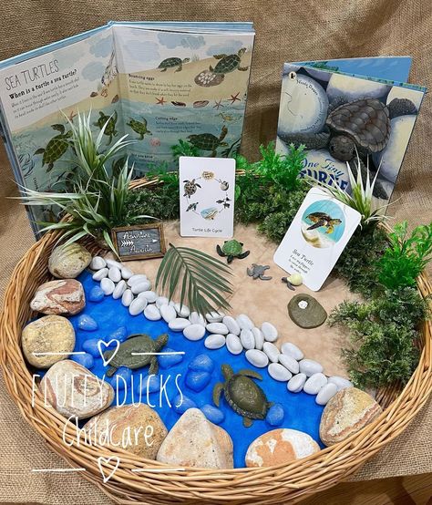 Ocean Educational Activities, Turtle Habitat Projects For Kids, Under The Sea Provocation, Turtle Sensory Activities, Sea Turtle Project, Turtle Day Activities, Turtle Activities For Toddlers, Turtle Activity, Turtle Activities