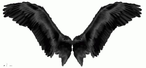 Wings Black Wings GIF - Wings BlackWings Fly - Discover & Share GIFs Angel Wings Gif, Wings Gif, Fly Gif, Lucifer Wings, Dark Angel Wings, Ombre Wallpaper Iphone, Wings Black, Creepy Core, Emoji Drawings