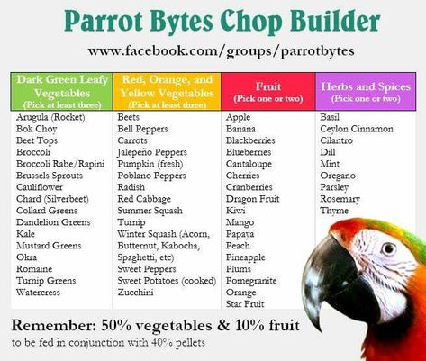 Use this handy guide to make your own chop recipes. Parrot Chop, Parrot Diet, Yellow Vegetables, Conure Parrots, Recipe Builder, Bird Treats, Parrot Pet, Amazon Parrot, Parrot Cage