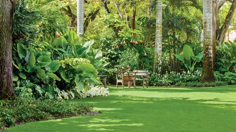 The Lawn | Take a surprising journey though this lush private garden tucked into the corner of Coral Gables, Florida. Private Garden Design, Tropical Backyard Landscaping, Parterre Garden, Tropical Landscape Design, Tropical Garden Design, Tropical Backyard, Miami Gardens, Backyard Inspiration, Tropical Landscaping