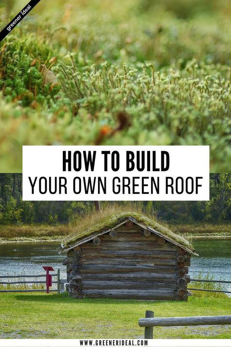 For people living in the urban area, green roofs are idea because it helps lower temperature and provide better insulation. Green roof also helps minimize the pollution in your area as plants absorb carbon for their food. Your green roof can also serve as storage for rainwater and provide a habitat for birds and animals. Learn all about Green Roofs and how to build one. #home #homeimprovement #roof #green #gogreen Sod Roof, Eco Roof, Living Green Roof, Natural Bug Repellent, Green Roofs, Living Roofs, Roofing Diy, Shed Roof, Casa Container