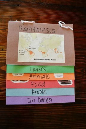 Rainforest Classroom, Rainforest Crafts, Rainforest Project, Rainforest Activities, Rainforest Theme, Jungle Thema, The Amazon Rainforest, Magic Treehouse, Homeschool Science