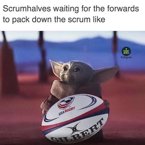 Funny Rugby Quotes, Rugby Vs Football, Rugby Lads, Rugby Jokes, Rugby Motivation, Rugby Videos, Rugby Images, Rugby Memes, Rugby Wallpaper