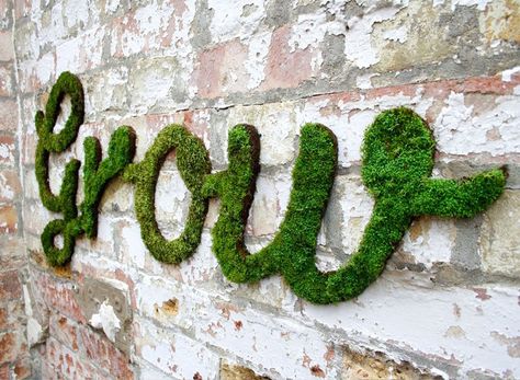 anna garforth moss graffiti designboom Moss Graffiti, Moss Paint, Growing Moss, Wall Graffiti, Garden Site, Communal Table, Grass Wall, Blog Art, Moss Wall Art