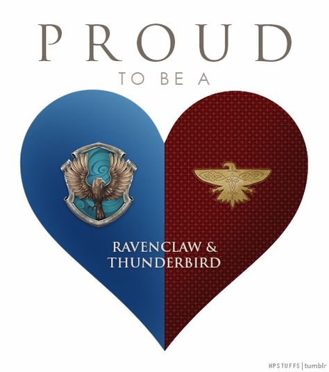 Harry Potter Stuff Thunderbird Aesthetic, Harry Potter Stuff, Ravenclaw Pride, Ravenclaw Aesthetic, Buku Harry Potter, Harry Potter Ravenclaw, Harry Potter Houses, Harry James Potter, Lord Voldemort