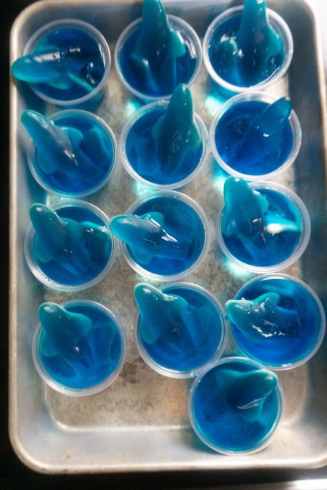 Beach Jello Shots, Shark Desserts, Shark Food, Underwater Theme Party, Shark Week Party, Halloween Tea Party, Jello Cups, Blue Jello, Jello Shot Recipes