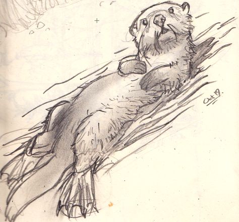 Otter sketch - idea for a zentangle for my son. Otter Sketch, Otter Drawing, Otter Tattoo, Otter Illustration, Otter Art, Back Drawing, Animal Illustration Art, Animal Study, British Wildlife