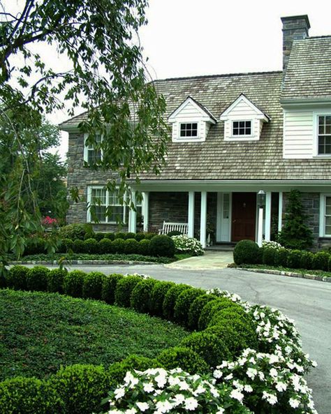 Boxwood lining driveway Boxwood Landscaping, Circle Driveway, Pathway Landscaping, Driveway Landscaping, Front Yard Design, Real Estat, Front Landscaping, Flower Landscape, Landscaping Tips