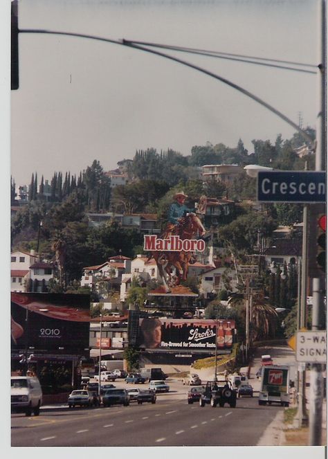 Looking west down Sunset Blvd. from Crescent Heights Blvd. Los Angeles, CA 1984 Los Angeles Aesthetic, Burbank California, Sunset Blvd, Laurel Canyon, Sunset Strip, Universal Studios Hollywood, Vintage Los Angeles, California Love, City Of Angels