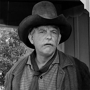 12 wonderful character actors who turn up in every TV Western  Denver Pyles Old Western Actors, Denver Pyle, Tough Men, Johnny Ringo, Old Western Movies, Native American Actors, Western Hero, Human Oddities, Dirty Dozen